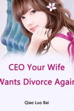 CEO, Your Wife Wants Divorce Again